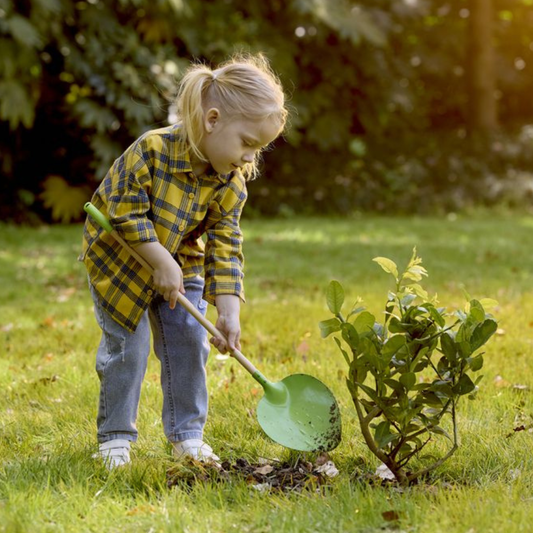 Hape kinderschep met punt