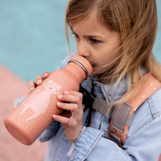 Trixie drinkfles 500ml - Mrs. Cat